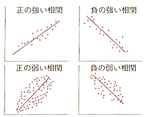 相関図(散布図).jpg